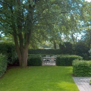 Landelijke tuin Arnhem