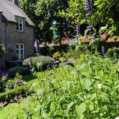 Tuinontwerp en tuinaanleg Zetten