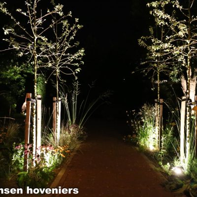 Verlichting onder bomen