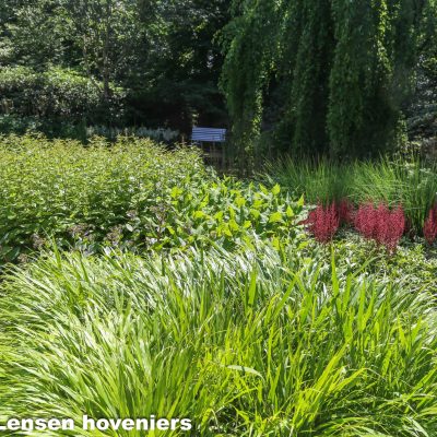 Veel vaste planten tuin Wageningen